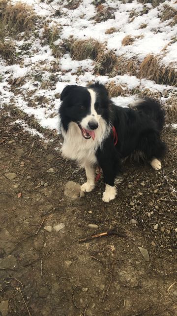 Pochwalmy się swoimi pupilkami :)