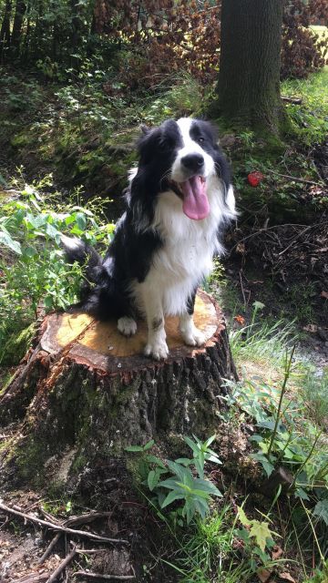 Pochwalmy się swoimi pupilkami :)