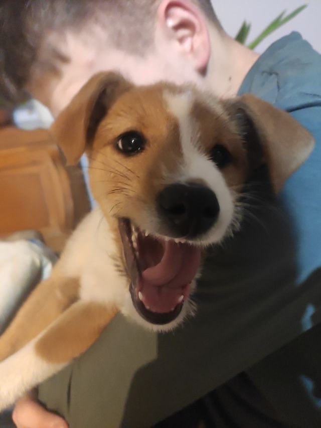 Pochwalmy się swoimi pupilkami :)