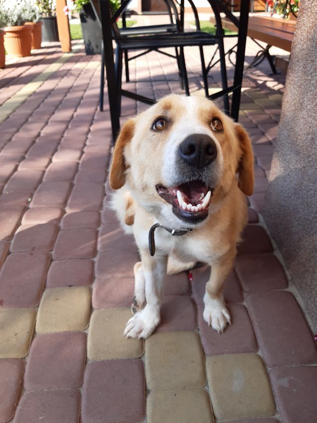 Pochwalmy się swoimi pupilkami :)