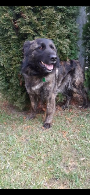 Pochwalmy się swoimi pupilkami :)