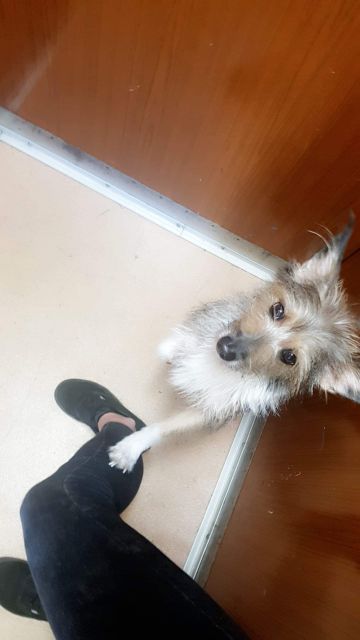 Pochwalmy się swoimi pupilkami :)