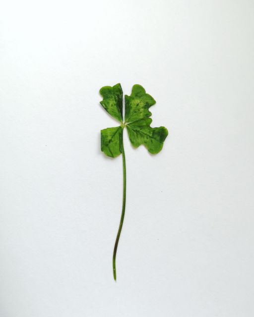 Jestem szczęśliwa bo..