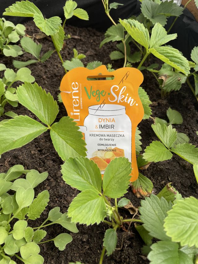 Vege skin dynia imbir maseczka
