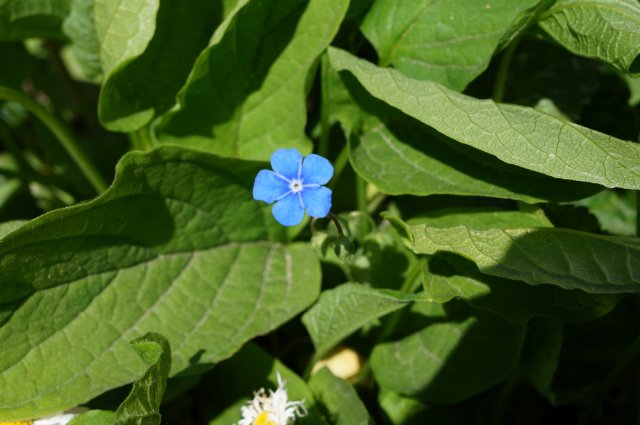 Wyzwanie FOTOGRAFICZNE  - Sierpień ! :) 