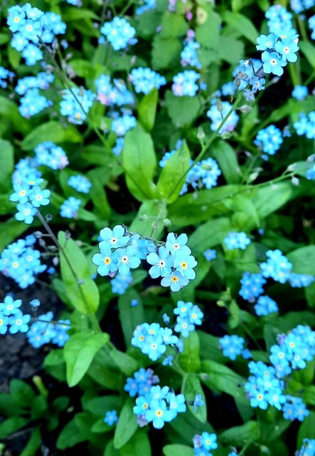 Wyzwanie FOTOGRAFICZNE  - Sierpień ! :) 