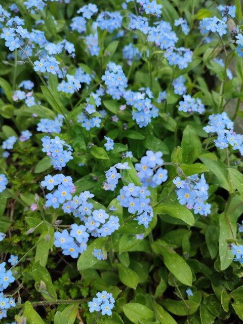 Wyzwanie FOTOGRAFICZNE  - Sierpień ! :) 