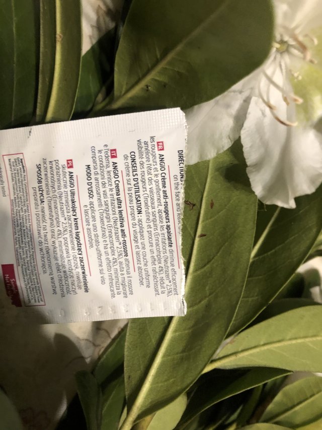 Dermedic Angio Therapy, Krem do twarzy, Ultrakojący, Łagodzący zaczerwienienia 