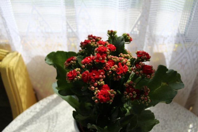 Wyzwanie FOTOGRAFICZNE  - Sierpień ! :) 