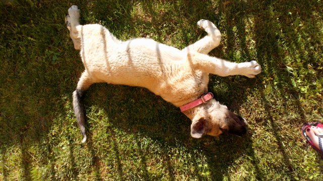 Wyzwanie FOTOGRAFICZNE  - Sierpień ! :) 