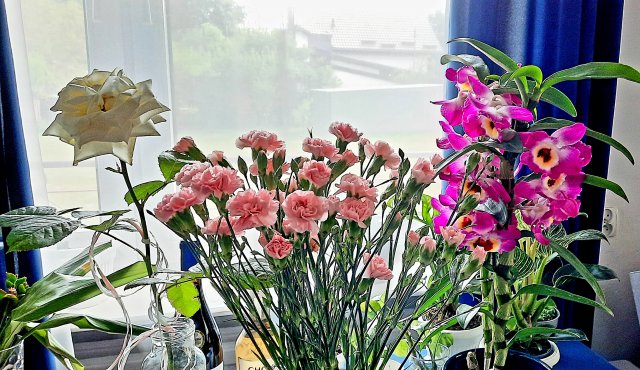 Wyzwanie FOTOGRAFICZNE  - Sierpień ! :) 