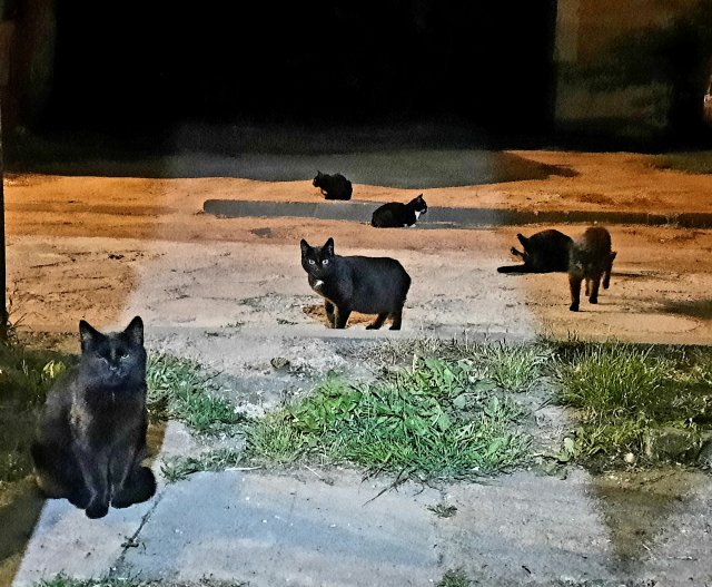 Wyzwanie FOTOGRAFICZNE  - Sierpień ! :) 