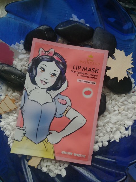 Maska na usta Disnay Princess