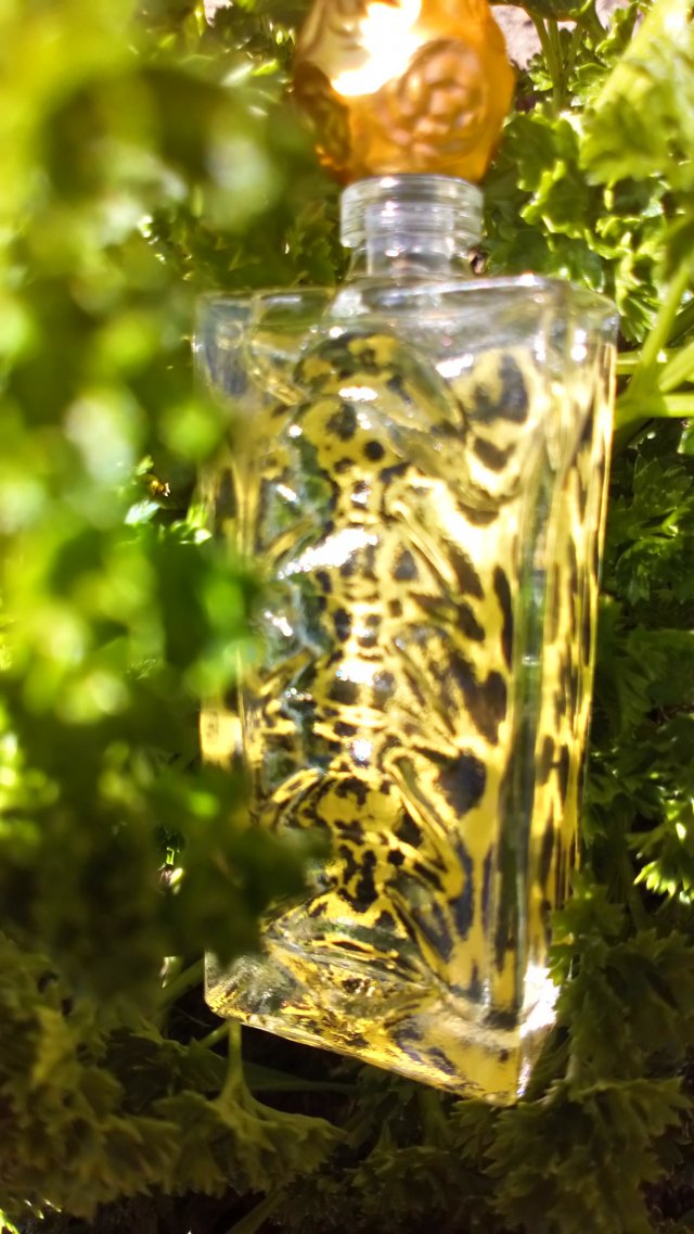 Salvador Dali Woda toaletowa, Dali Wild EDT