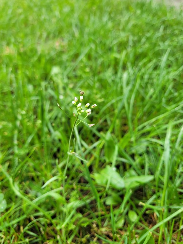 Jestem szczęśliwa bo..