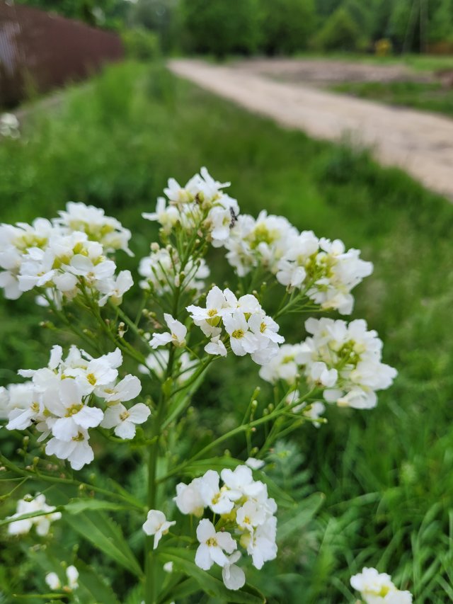 Jestem szczęśliwa bo..