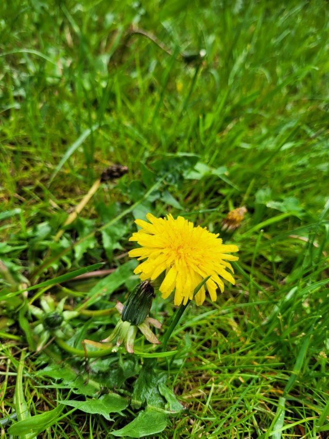 Jestem szczęśliwa bo..