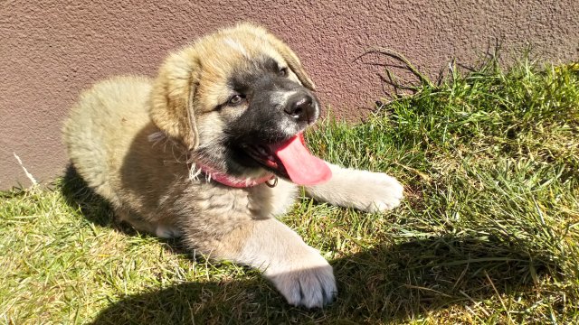 Wyzwanie FOTOGRAFICZNE  - Sierpień ! :) 