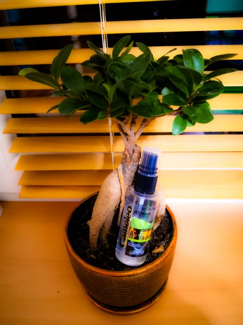 Delia Cameleo, Jedwab do włosów Anti Damage, 55ml