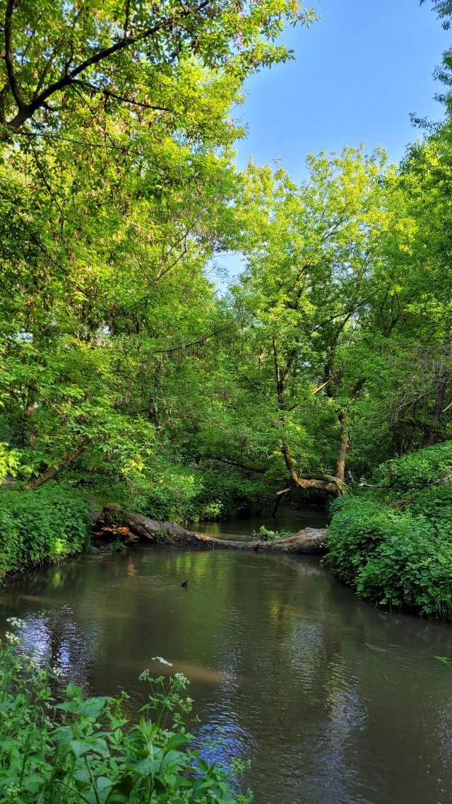 Jestem szczęśliwa bo..
