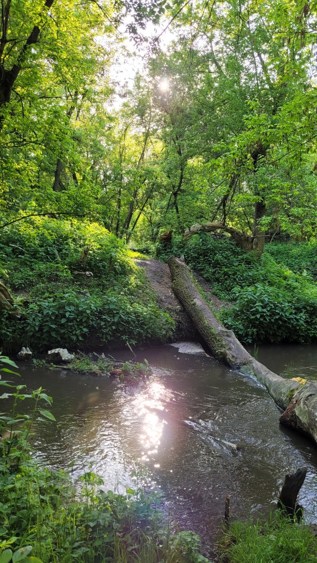 Jestem szczęśliwa bo..