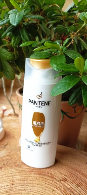 Pantene Pro-V Repair & Protect, Szampon do włosów