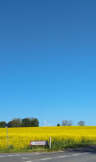 Królowa Dresscloud!