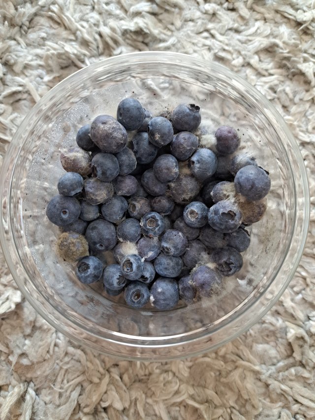 Kulturalne narzekanie na rzeczywistość! Uwaga - zawiera offtopy!