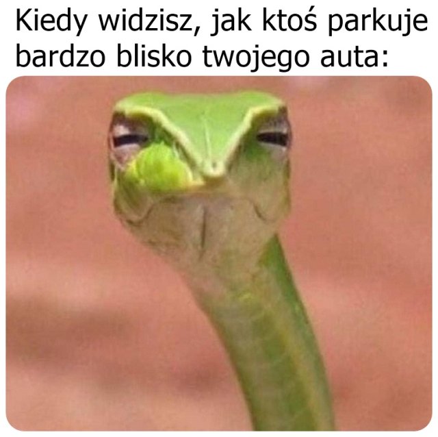Śmieszki codzienne 