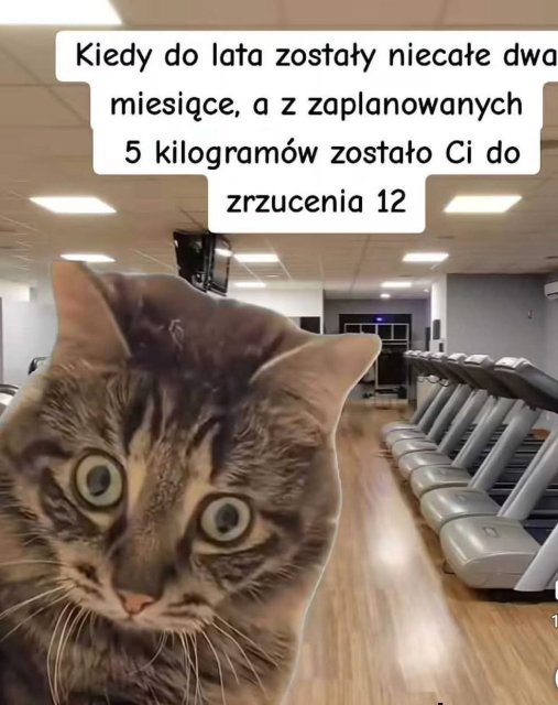 Śmieszki codzienne 