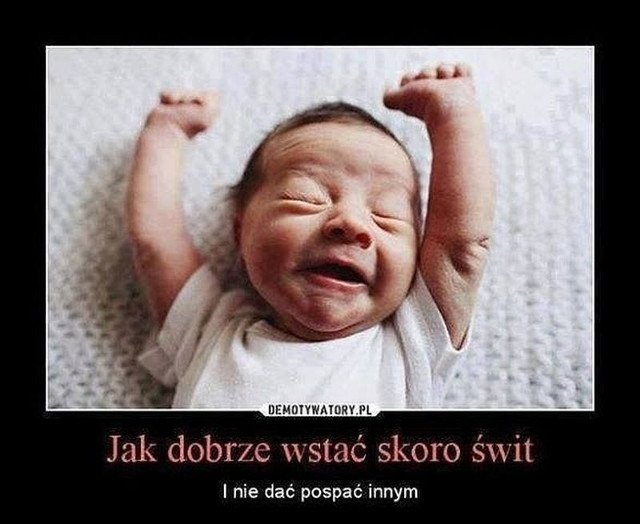 Śmieszki codzienne 