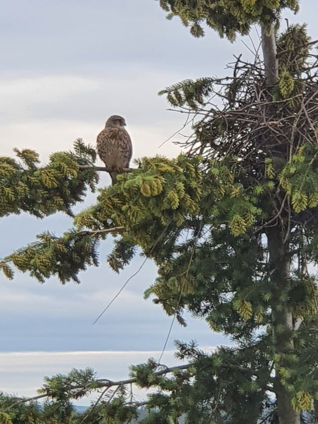 Jestem szczęśliwa bo..
