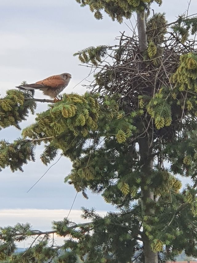 Jestem szczęśliwa bo..