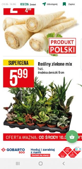 Nasze rośliny 🌿 