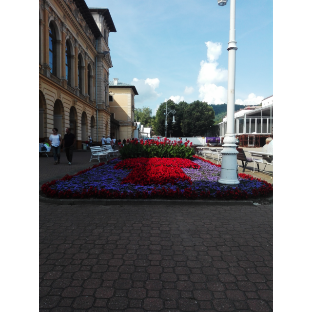 zabawa? wybierz najładniejsze zdjęcie.