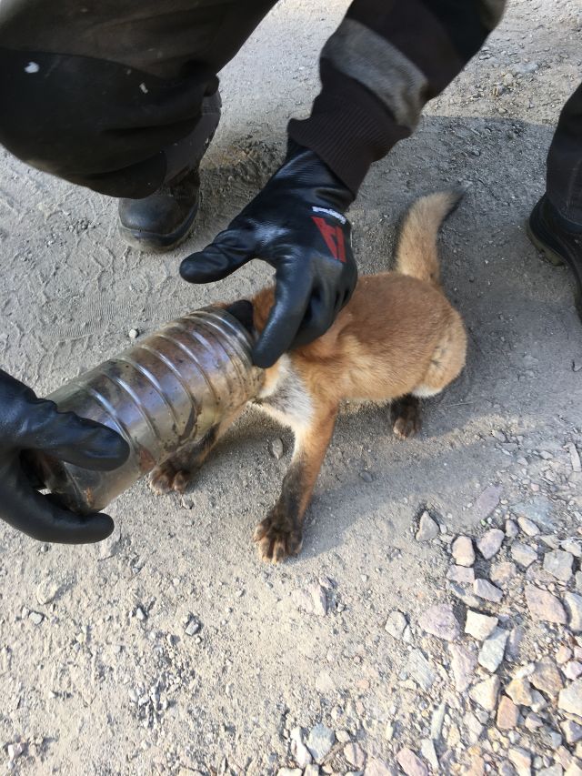 Jestem szczęśliwa bo..