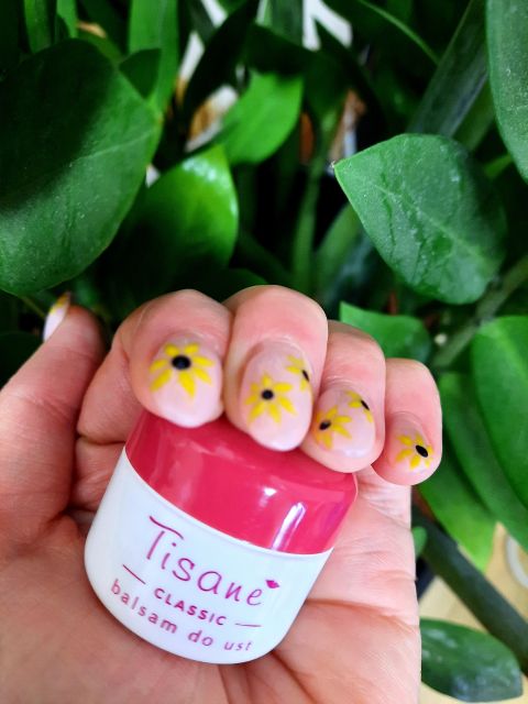 Tisane Balsam do ust w słoiczku, Classic