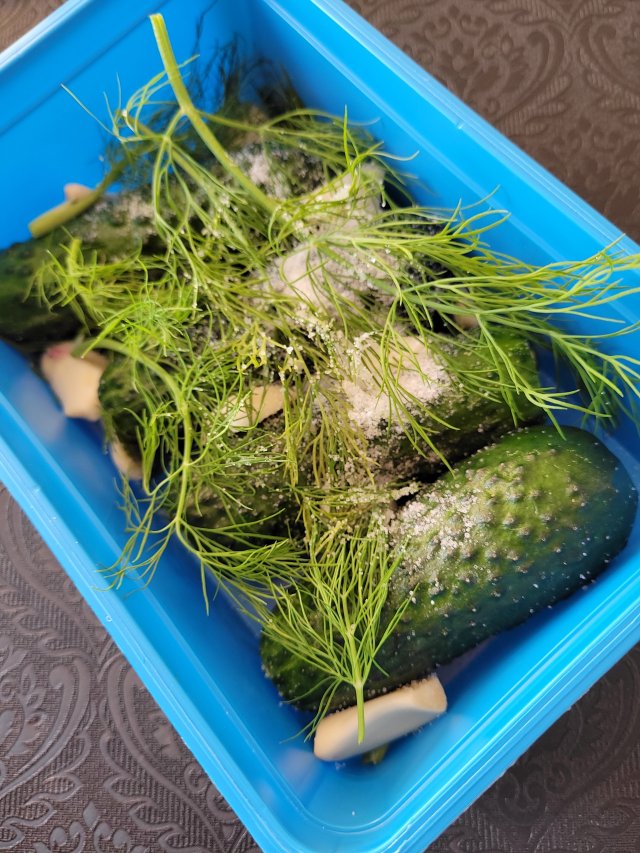 Jestem szczęśliwa bo..