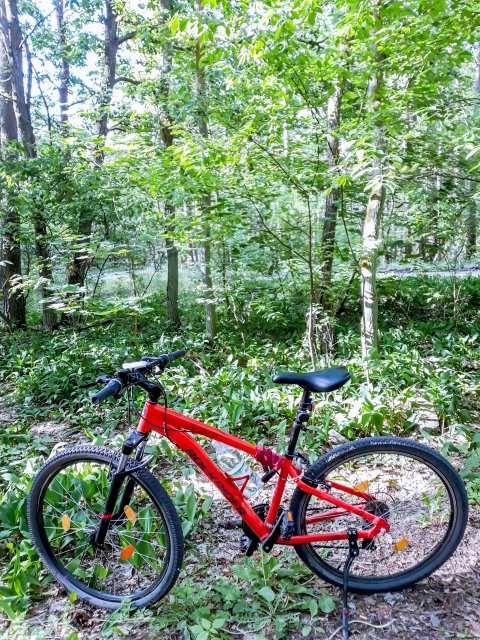 Wyzwanie FOTOGRAFICZNE  - Sierpień ! :) 