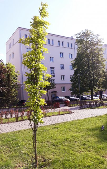 Wyzwanie FOTOGRAFICZNE  - Sierpień ! :) 