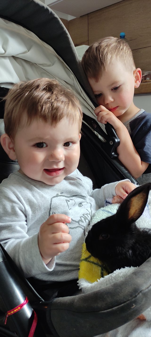 Kulturalne narzekanie na rzeczywistość! Uwaga - zawiera offtopy!