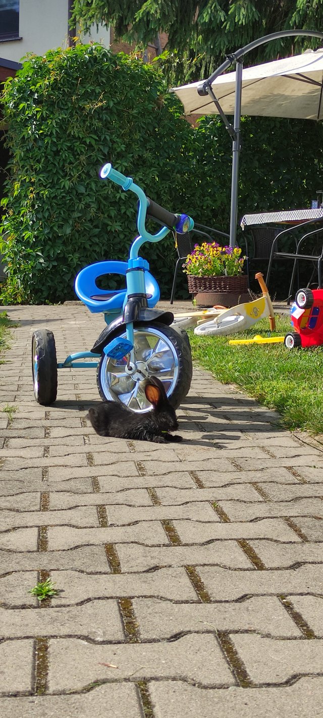 Kulturalne narzekanie na rzeczywistość! Uwaga - zawiera offtopy!