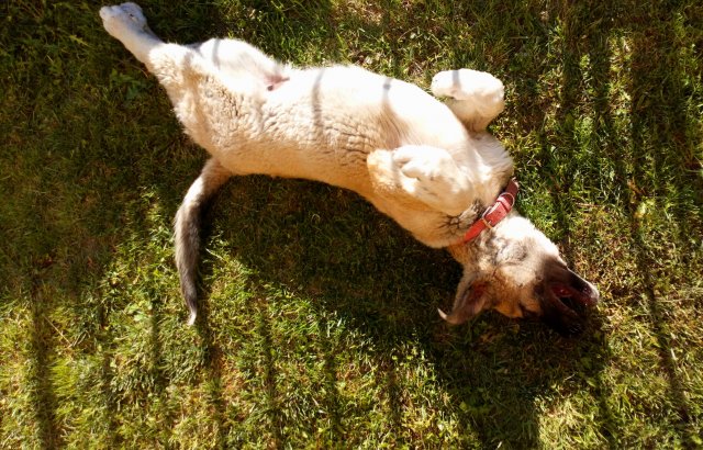 Wyzwanie FOTOGRAFICZNE  - Sierpień ! :) 