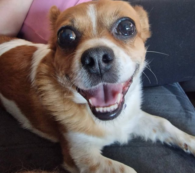 Jestem szczęśliwa bo..