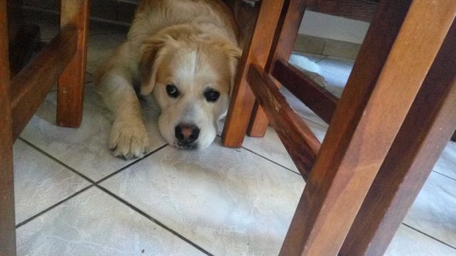 Jestem szczęśliwa bo..