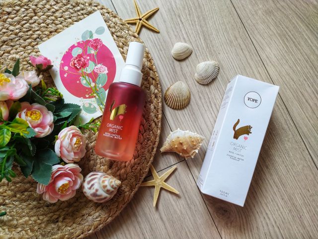 Mgiełka. Yope kaktus i róża 