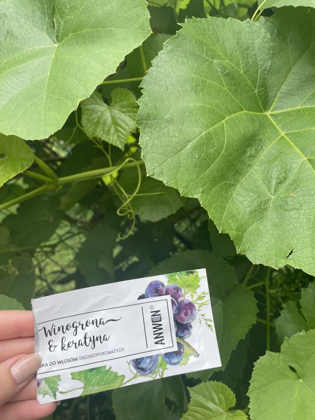 Anwen Maska do włosów średnioporowatych, Winogrona i keratyna