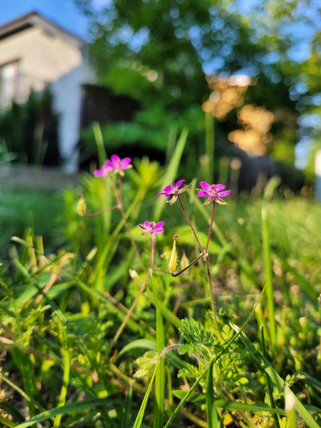 Wyzwanie FOTOGRAFICZNE  - Sierpień ! :) 