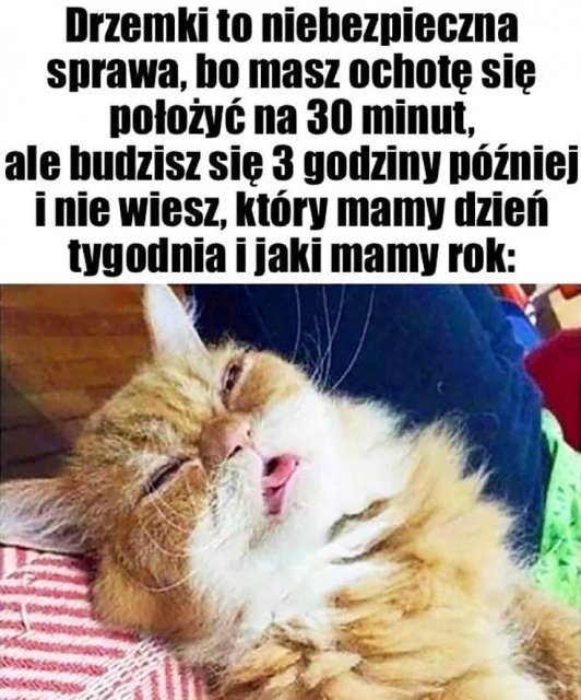 Śmieszne memy/filmiki/tiktoki