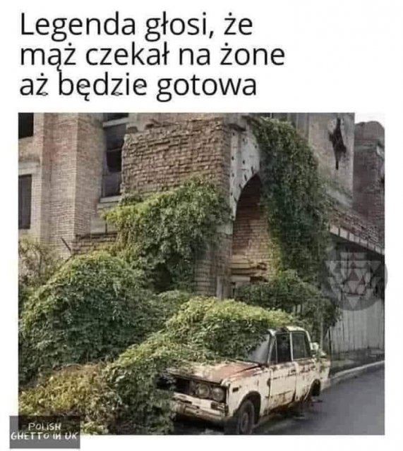 Śmieszne memy/filmiki/tiktoki